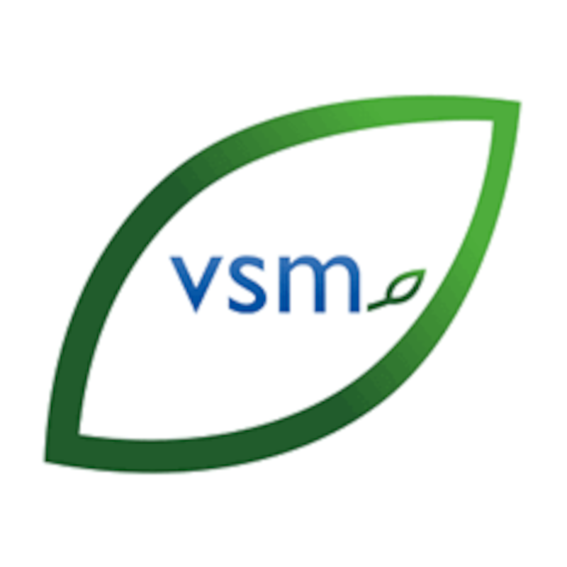 VSM